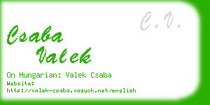csaba valek business card